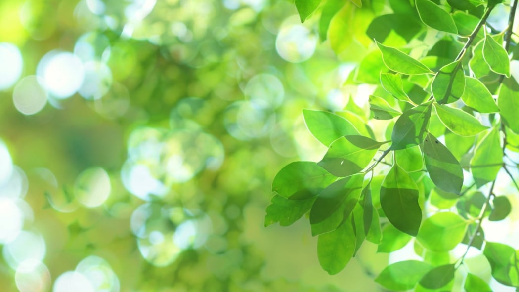 イメージ画像 その4